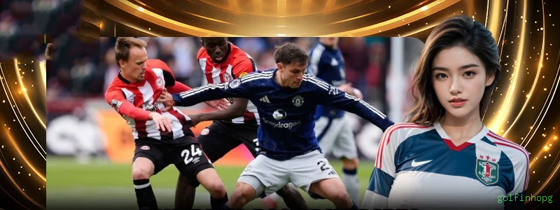 Cassino ao Vivo golfinhopg - Dealers Brasileiros Profissionais